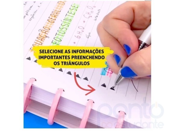 https://mail.pontodoestudante.or01.futurasistemas.com.br/image/cache/watermark/data/eftr/Img_ftr_rp_107001-580x435.JPG